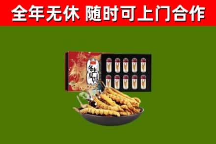 昌吉烟酒回收冬虫夏草礼盒.jpg